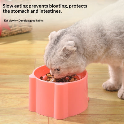 Cat Slow Feeder Bowl — Anti-Gulp Minimalist Design