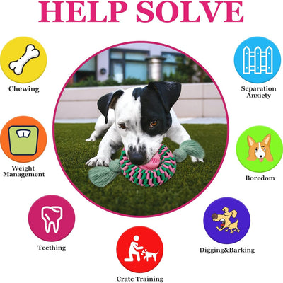 Durable Nylon & Rubber Dog Chew Toy