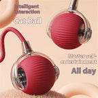 Electric self-rolling motion-activated cat ball toy