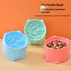 Cat slow feeder bowl anti-gulp minimalist design