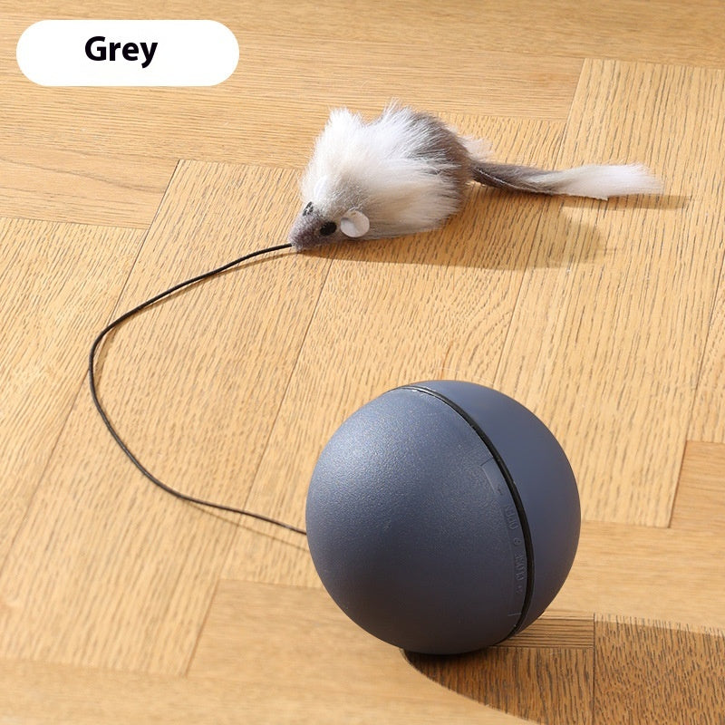 Self-rolling electric mouse cat toy automatic ball in Dark Gray