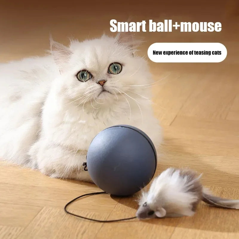 Self-rolling electric mouse cat toy automatic ball